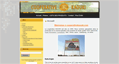 Desktop Screenshot of cooperativekaouki.com